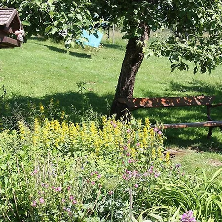 Apartment Haus Am Ibachweg